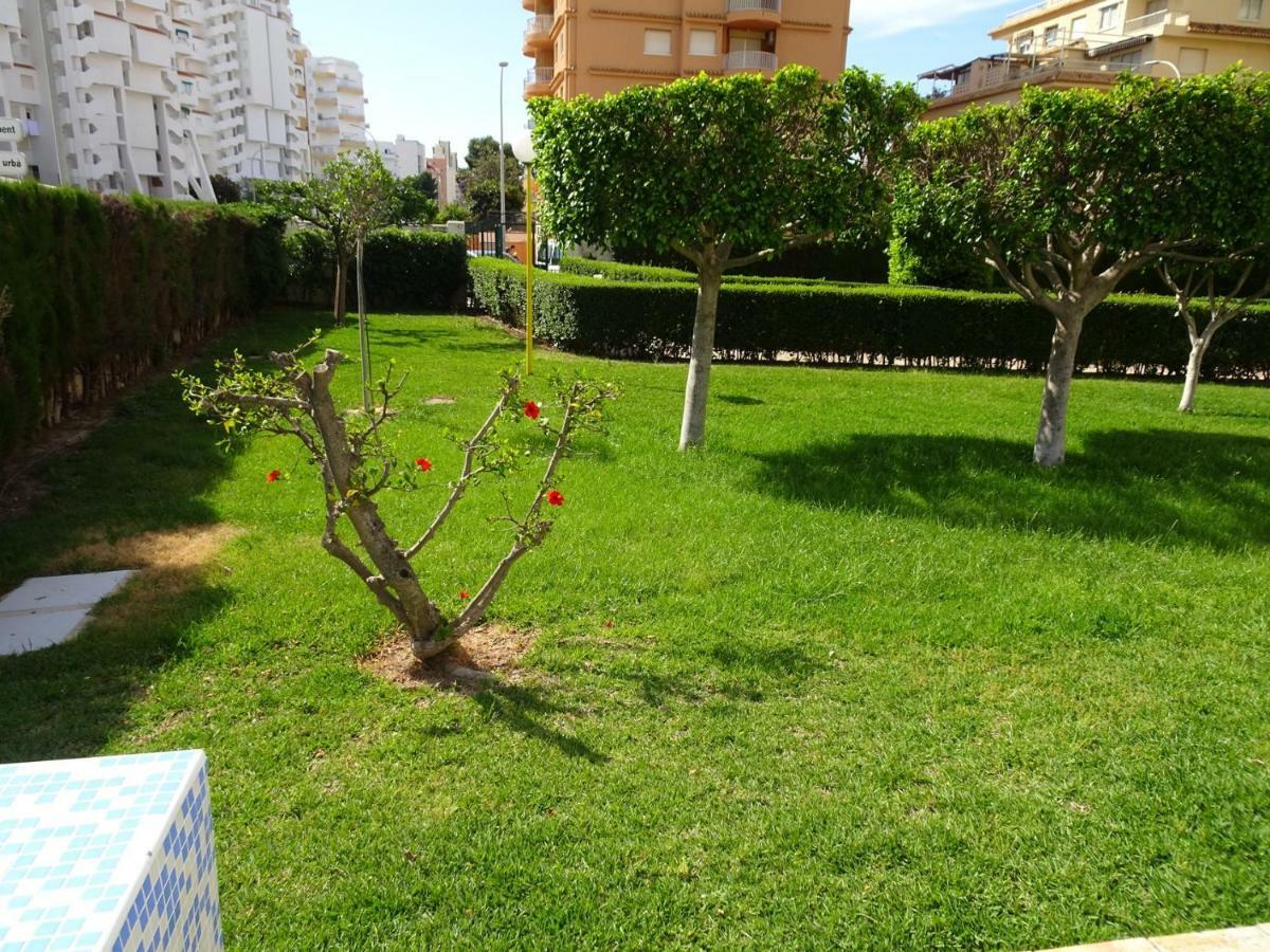 Apartamento ROMA 11 GANDÍA - Alquiler a familias Exterior foto